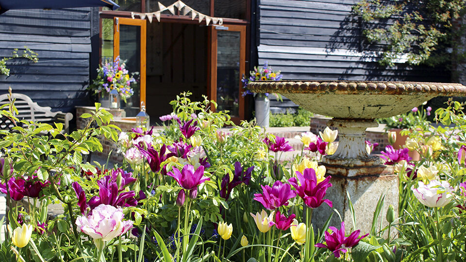 1.spring flowers bunting upwaltham barns