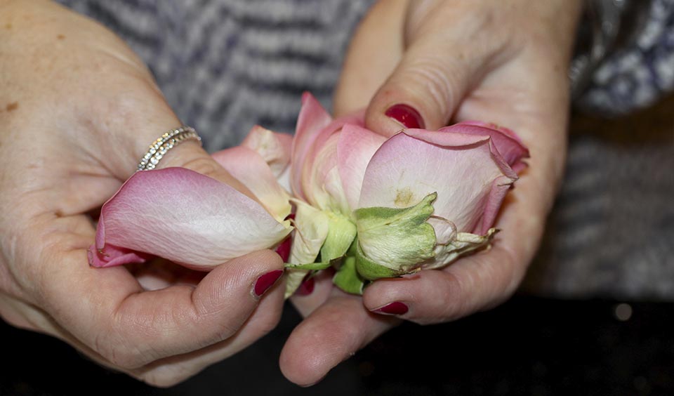 separate petals homemade petal confetti upwaltham barns wedding venues west sussex