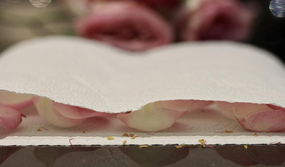 close up covered petals homemade petal confetti upwaltham barns wedding venues west sussex