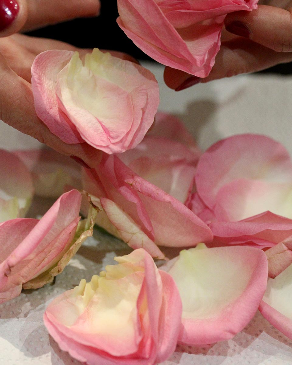 close up petals homemade petal confetti upwaltham barns wedding venues west sussex