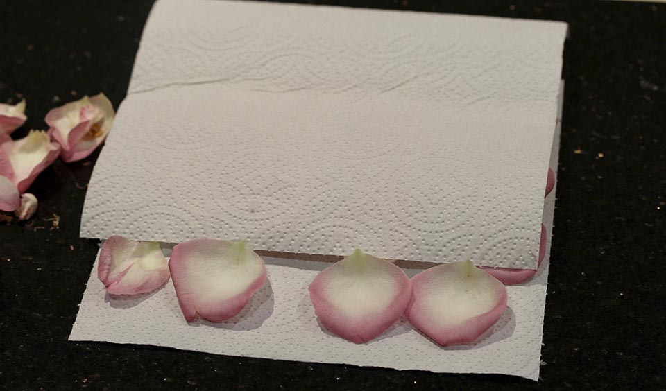 cover petals homemade petal confetti upwaltham barns wedding venues west sussex