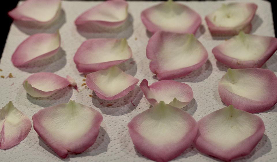 lay out petals homemade petal confetti upwaltham barns wedding venues west sussex