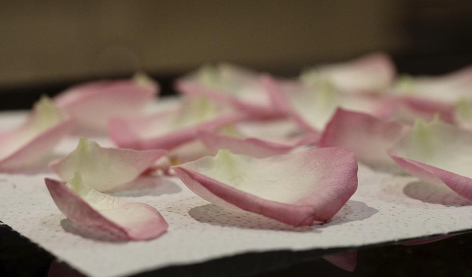paper towel petals homemade petal confetti upwaltham barns wedding venues west sussex
