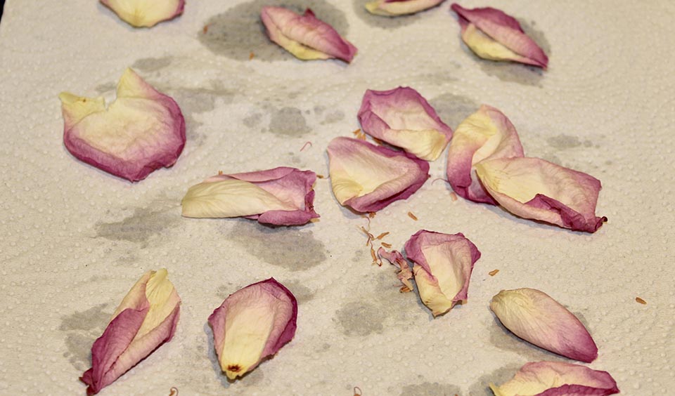 spread out petals homemade petal confetti upwaltham barns wedding venues west sussex