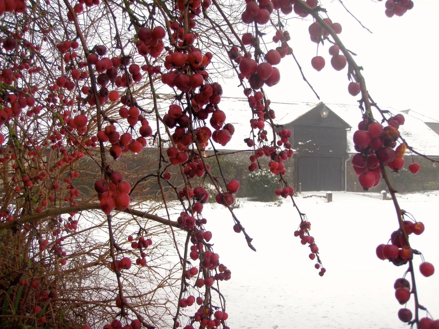 upwaltham barns wedding gallery winter venue snow