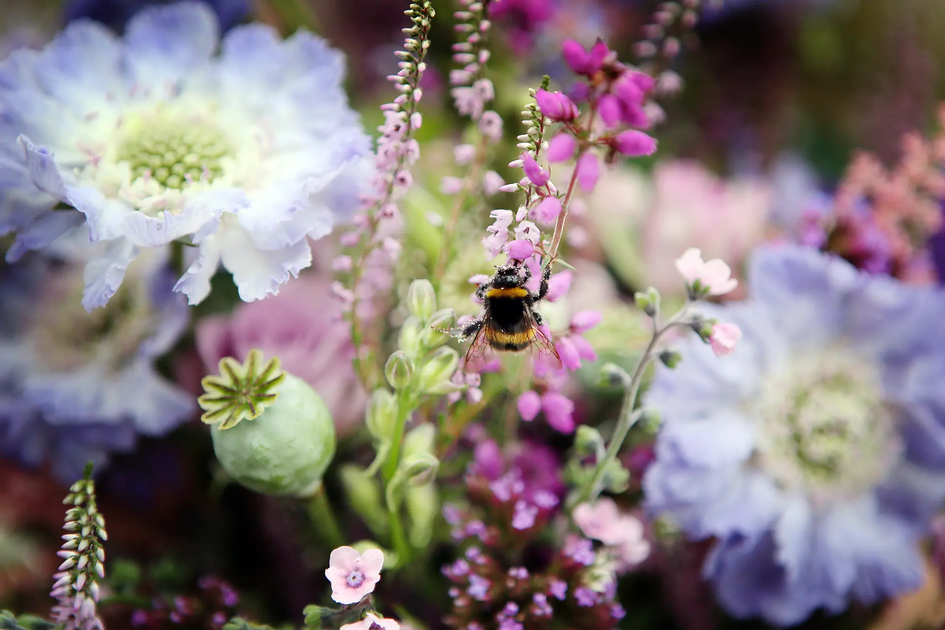 upwaltham barns wedding gardens snug flowers detail